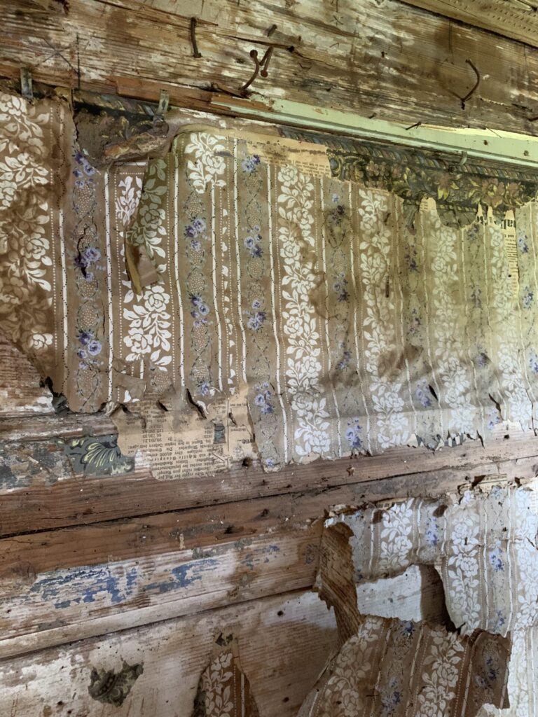 20240822 Hofbergstrasse 4 Wil 11