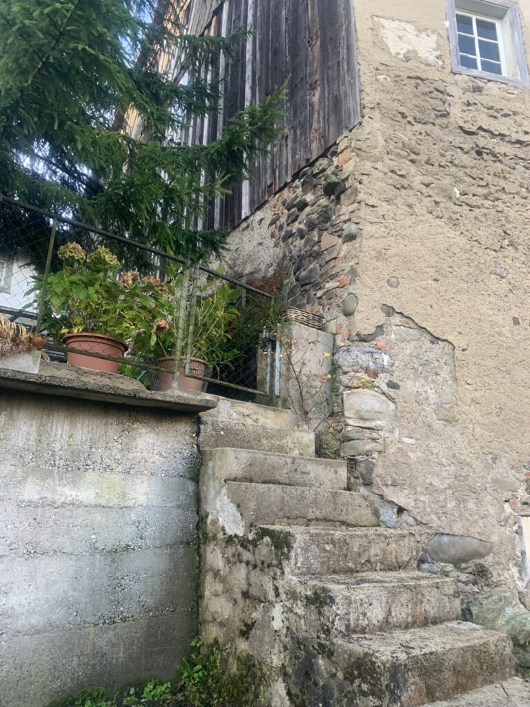 20241017 Hofbergstrasse 4 Wil 05