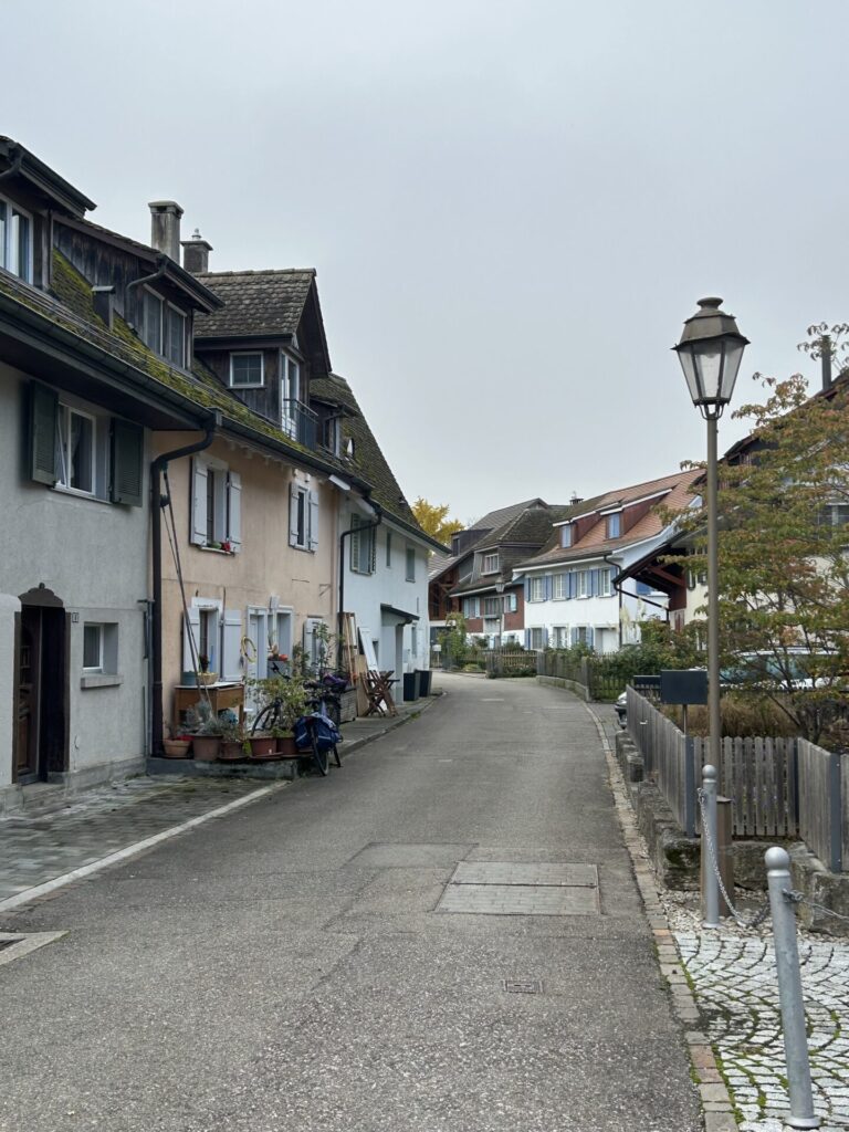 20251029 Ermatingen 19